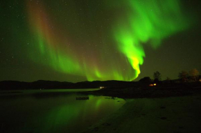 Off-the-grid cabin on the island of Senja in northern Norway